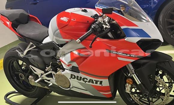 Buy Used Ducati Panigale Red Bike in Muscat in Masqat