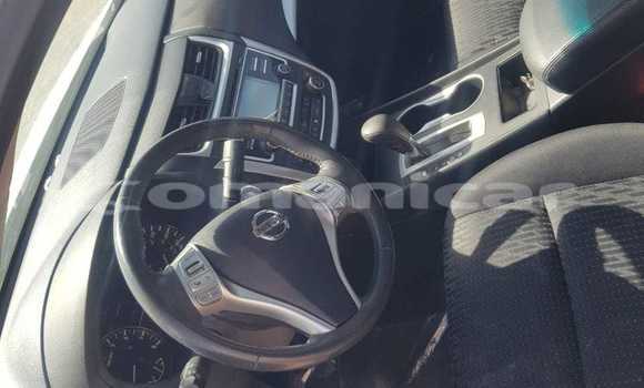 Buy Used Nissan Altima Silver Car in Muscat in Masqat Buy Used Nissan Altima Silver Car in Muscat in Masqat