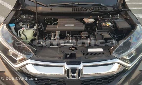 Buy Import Honda C Other Bike in Import - Dubai in Dhufar