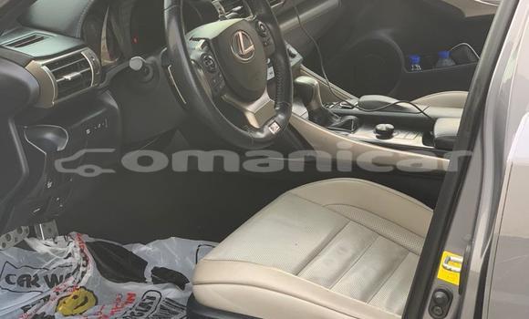 Buy Import Lexus IS Other Car in Muscat in Masqat