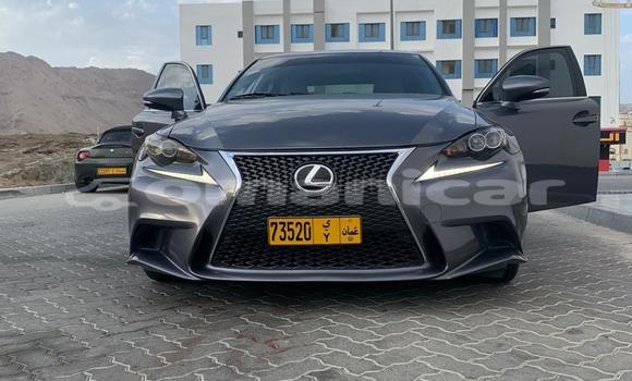 Buy Import Lexus IS Other Car in Muscat in Masqat Buy Import Lexus IS Other Car in Muscat in Masqat