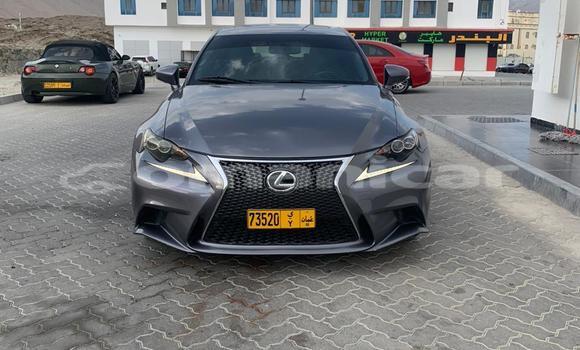 Buy Import Lexus IS Other Car in Muscat in Masqat Buy Import Lexus IS Other Car in Muscat in Masqat