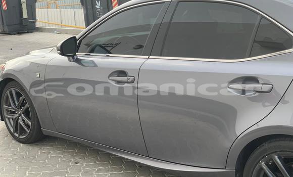 Buy Import Lexus IS Other Car in Muscat in Masqat Buy Import Lexus IS Other Car in Muscat in Masqat