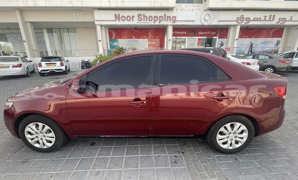 Buy Used Kia Cerato Red Car in al–Buraymi in adh-Dhahirah Buy Used Kia Cerato Red Car in al–Buraymi in adh-Dhahirah