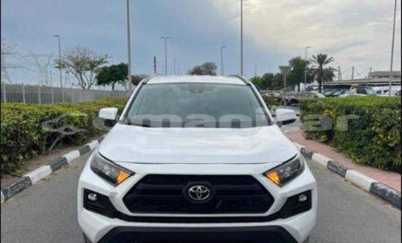 Buy Used Toyota RAV4 White Car in al–Mudaybi in ash-Sharqiyah