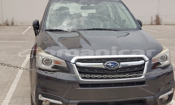 Buy Used Subaru Forester Other Car in Azaiba in Masqat Buy Used Subaru Forester Other Car in Azaiba in Masqat