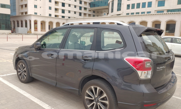 Buy Used Subaru Forester Other Car in Azaiba in Masqat Buy Used Subaru Forester Other Car in Azaiba in Masqat