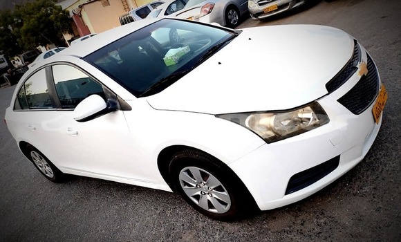 Buy Used Chevrolet Cruze White Car in Muscat in Masqat