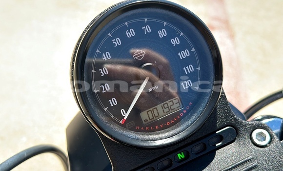 Buy Used Harley Davidson IRON Black Bike in Muscat in Masqat Buy Used Harley Davidson IRON Black Bike in Muscat in Masqat