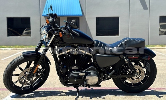 Buy Used Harley Davidson IRON Black Bike in Muscat in Masqat Buy Used Harley Davidson IRON Black Bike in Muscat in Masqat