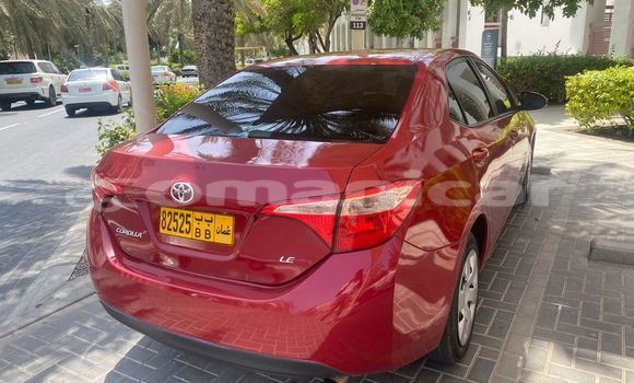 Buy Used Toyota Corolla Red Car in Masqat in Masqat Buy Used Toyota Corolla Red Car in Masqat in Masqat