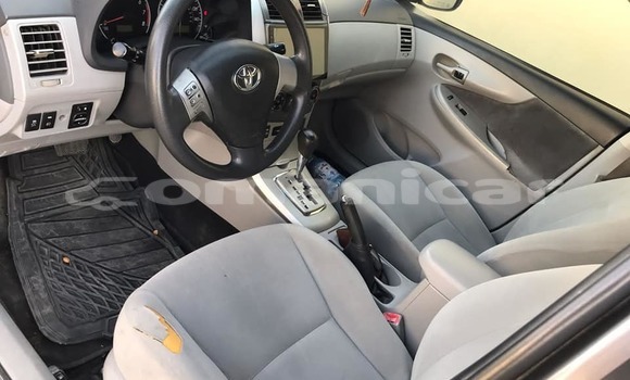 Buy Used Toyota Corolla Other Car in Masqat in Masqat Buy Used Toyota Corolla Other Car in Masqat in Masqat