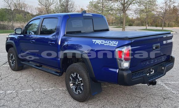Buy Used Toyota Tacoma Blue Car in Muscat in Masqat Buy Used Toyota Tacoma Blue Car in Muscat in Masqat