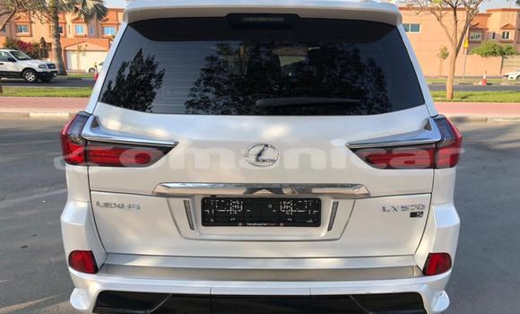 Buy Used Lexus LX 570 White Car in Muscat in Masqat Buy Used Lexus LX 570 White Car in Muscat in Masqat
