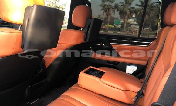Buy Used Lexus LX 570 White Car in Muscat in Masqat Buy Used Lexus LX 570 White Car in Muscat in Masqat