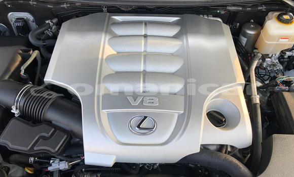 Buy Used Lexus LX 570 White Car in Muscat in Masqat Buy Used Lexus LX 570 White Car in Muscat in Masqat