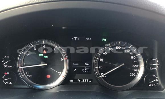 Buy Used Lexus LX 570 White Car in Muscat in Masqat Buy Used Lexus LX 570 White Car in Muscat in Masqat