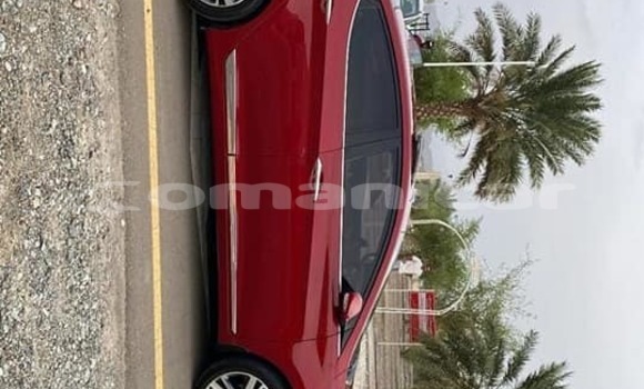 Buy Used Hyundai Elantra Red Car in Masqat in Masqat Buy Used Hyundai Elantra Red Car in Masqat in Masqat