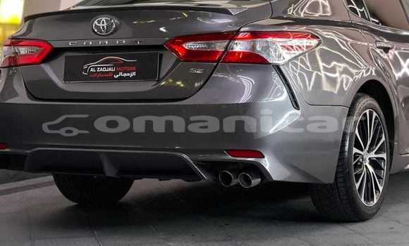 Buy Used Toyota Camry Other Car in Masqat in Masqat Buy Used Toyota Camry Other Car in Masqat in Masqat
