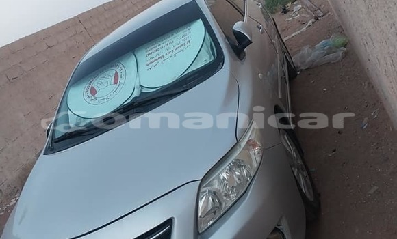 Buy Used Acura CSX Other Car in Masqat in Masqat Buy Used Acura CSX Other Car in Masqat in Masqat