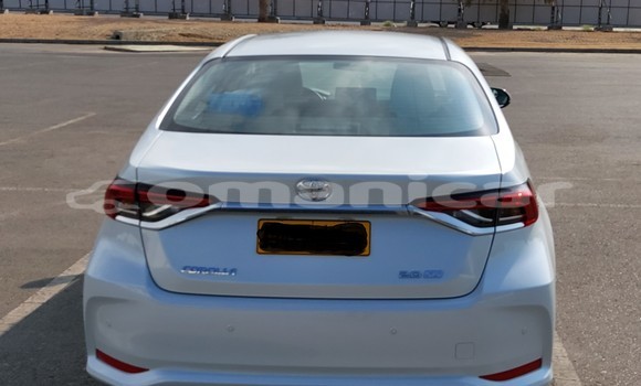 Buy Used Toyota Corolla White Car in Masqat in Masqat Buy Used Toyota Corolla White Car in Masqat in Masqat