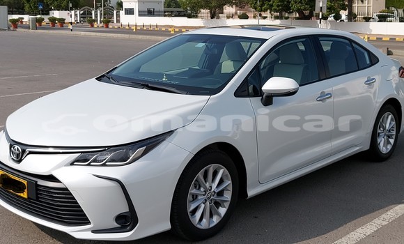 Buy Used Toyota Corolla White Car in Masqat in Masqat Buy Used Toyota Corolla White Car in Masqat in Masqat