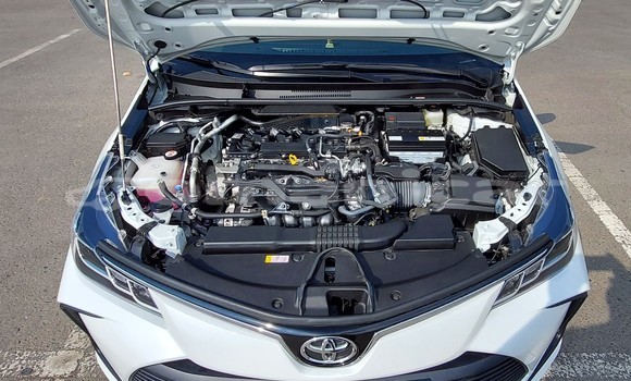 Buy Used Toyota Corolla White Car in Masqat in Masqat Buy Used Toyota Corolla White Car in Masqat in Masqat