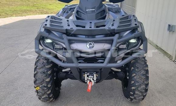 Buy New Can–am DS 650 Beige Bike in Madinat Qabus in Masqat