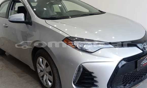 Buy Used Toyota Corolla White Car in al–Mudaybi in ash-Sharqiyah Buy Used Toyota Corolla White Car in al–Mudaybi in ash-Sharqiyah