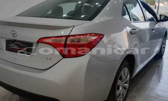 Buy Used Toyota Corolla White Car in al–Mudaybi in ash-Sharqiyah Buy Used Toyota Corolla White Car in al–Mudaybi in ash-Sharqiyah