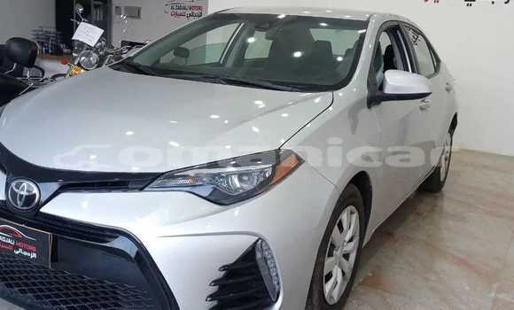 Buy Used Toyota Corolla White Car in al–Mudaybi in ash-Sharqiyah Buy Used Toyota Corolla White Car in al–Mudaybi in ash-Sharqiyah