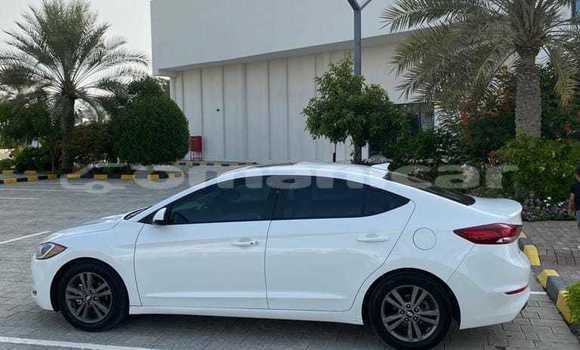 Buy Used Toyota Corolla White Car in ar–Rustaq in al-Batinah Buy Used Toyota Corolla White Car in ar–Rustaq in al-Batinah