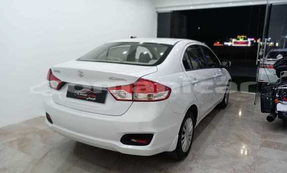 Buy Used Toyota Corolla White Car in al–Mudaybi in ash-Sharqiyah Buy Used Toyota Corolla White Car in al–Mudaybi in ash-Sharqiyah