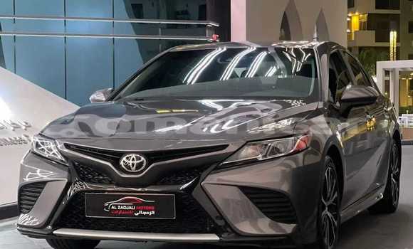 Buy Used Toyota Camry Green Car in as–Sib in Masqat Buy Used Toyota Camry Green Car in as–Sib in Masqat