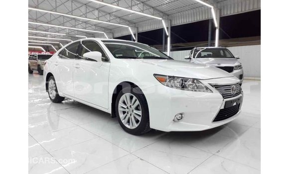Buy Import Lexus ES White Car in Import - Dubai in Dhufar Buy Import Lexus ES White Car in Import - Dubai in Dhufar