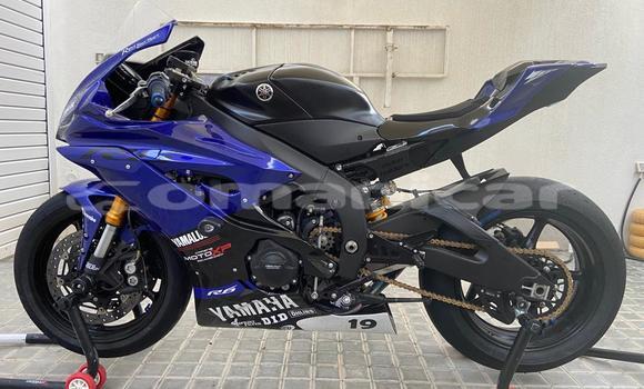 Buy Used Yamaha YZF Blue Bike in Muscat in Masqat Buy Used Yamaha YZF Blue Bike in Muscat in Masqat