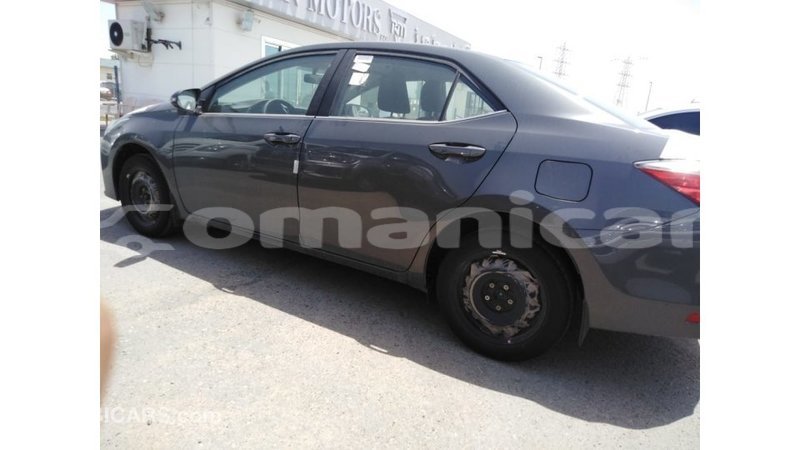 Big with watermark e82ba0e9 45ea 48a7 9266 db977b600c17