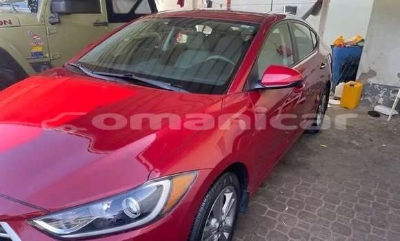 Buy Used Hyundai Elantra Red Car in Masqat in Masqat
