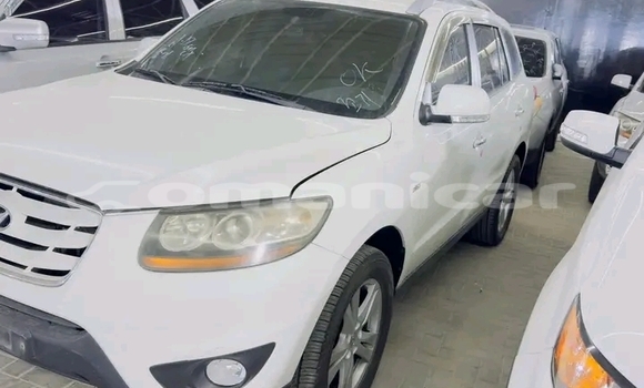 Buy Used DS 7 Crossback White Car in Muscat in Masqat Buy Used DS 7 Crossback White Car in Muscat in Masqat