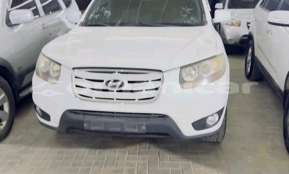 Buy Used DS 7 Crossback White Car in Muscat in Masqat Buy Used DS 7 Crossback White Car in Muscat in Masqat
