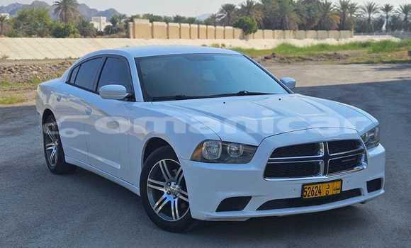 Cars for sale in oman - omanicar