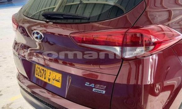 Cars for sale in oman - omanicar