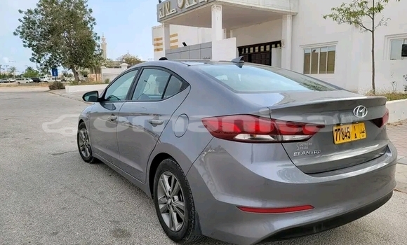 Buy Used BMW 315 Other Car in as–Suwayq in al-Batinah Buy Used BMW 315 Other Car in as–Suwayq in al-Batinah