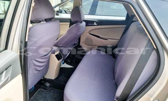Buy Used Hyundai Tucson Beige Car in Salalah in Dhufar Buy Used Hyundai Tucson Beige Car in Salalah in Dhufar