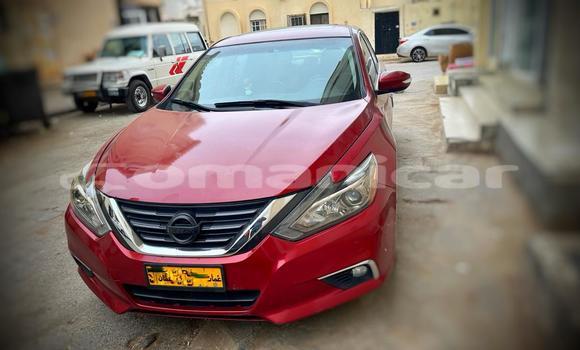 Buy Used Nissan Altima Red Car in Ruwi in Masqat