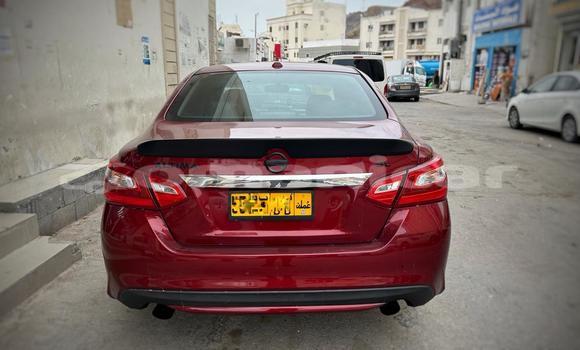 Buy Used Nissan Altima Red Car in Ruwi in Masqat Buy Used Nissan Altima Red Car in Ruwi in Masqat