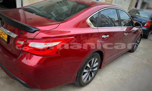 Buy Used Nissan Altima Red Car in Ruwi in Masqat Buy Used Nissan Altima Red Car in Ruwi in Masqat