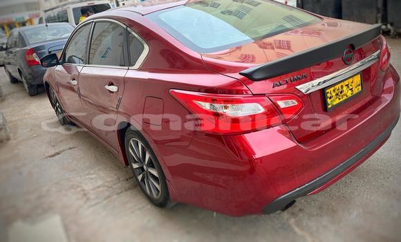 Buy Used Nissan Altima Red Car in Ruwi in Masqat Buy Used Nissan Altima Red Car in Ruwi in Masqat