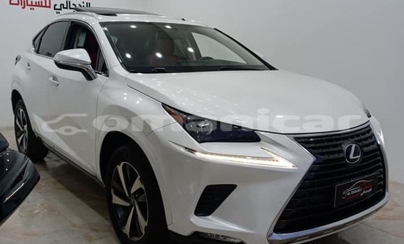 Buy Used Lexus NX White Car in ar–Rustaq in al-Batinah