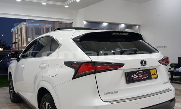 Buy Used Lexus NX White Car in ar–Rustaq in al-Batinah Buy Used Lexus NX White Car in ar–Rustaq in al-Batinah